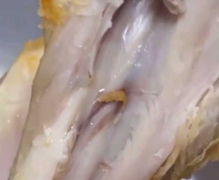 В ресторане быстрого питания в Пятигорске подают куриные ножки с личинками
