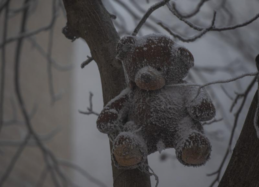 Погода в Ставропольском крае 27 января 2026: грядут аномальные морозы до -20 и штормовой ветер