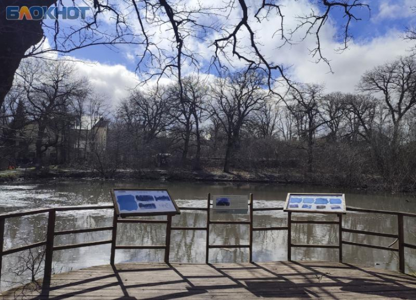 Ртищев пруд в Ставрополе: как доехать до малоизвестной достопримечательности и не разочароваться 