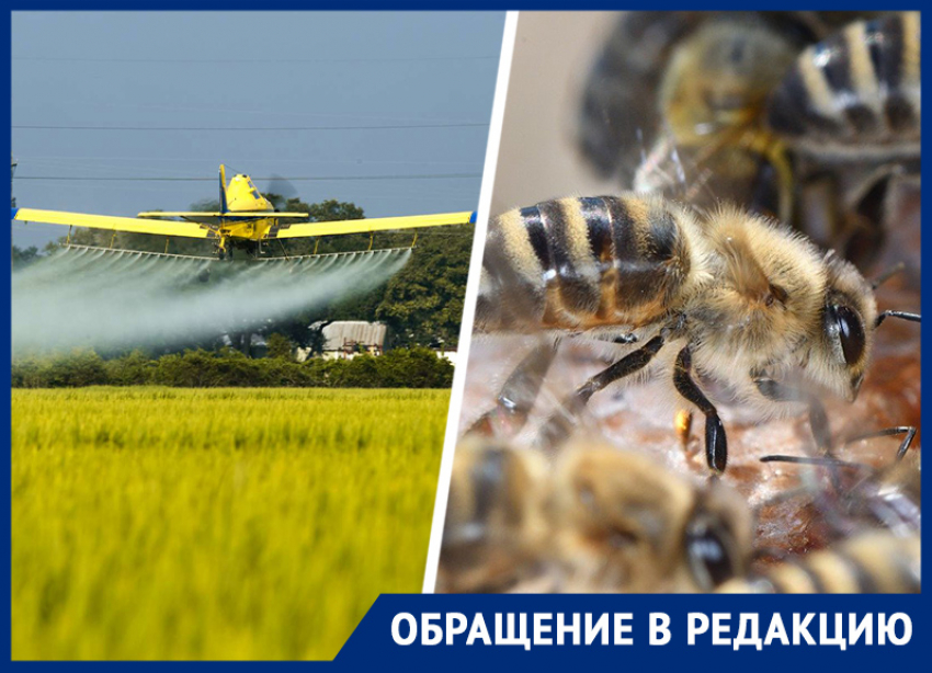 Ставрополец усомнился в законности обработки полей с последующей гибелью пчел