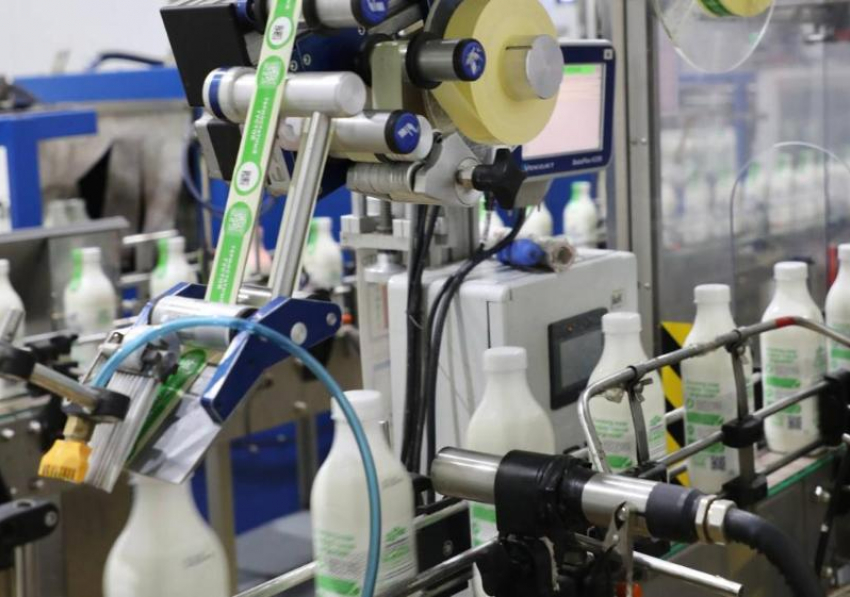 Молочный комбинат в Невинномысске планирует выпускать 125 тонн продукции в сутки 