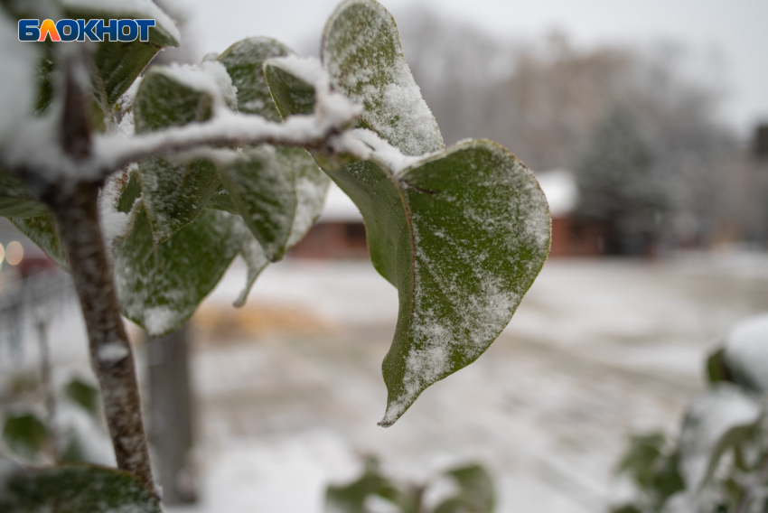 Майские выходные начнутся с заморозков на Ставрополье