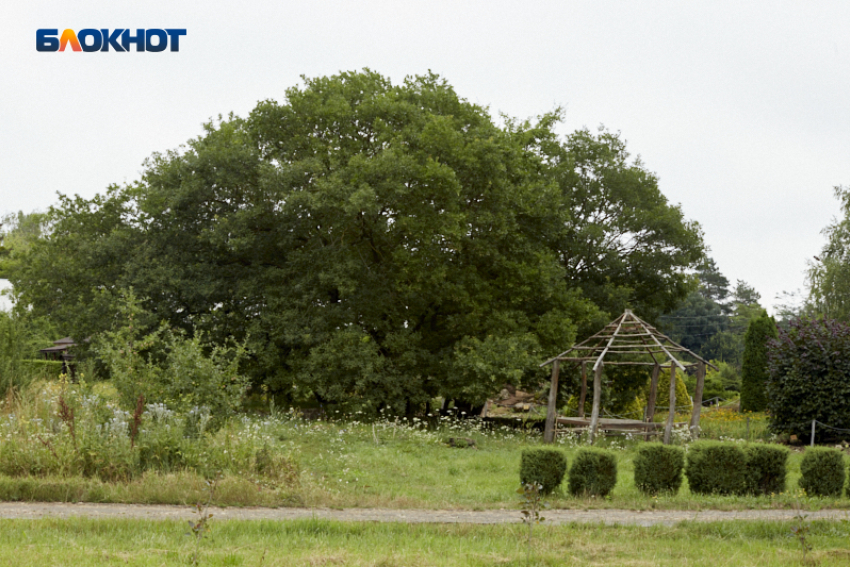 Летняя жара до +38 градусов ожидается на Ставрополье 27 июля