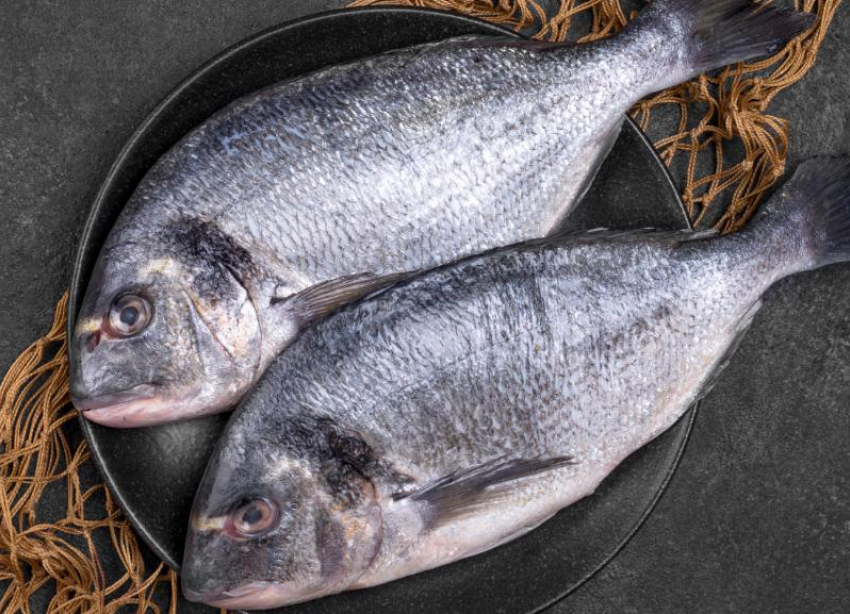 Более 27 тонн незаконной рыбы из Чограйского водохранилища выявили на Ставрополье 