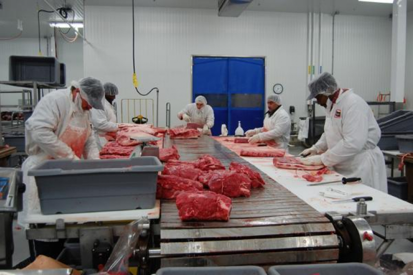 Шестнадцать мясных предприятий хотят закрыть на Ставрополье