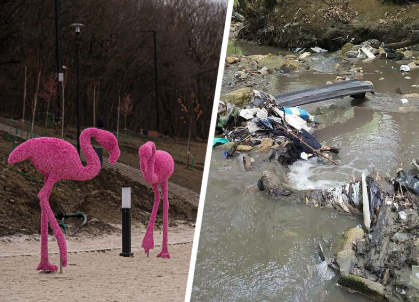 Фламинго — это хорошо, но, может, очистим реки Ставрополя за эти деньги? 