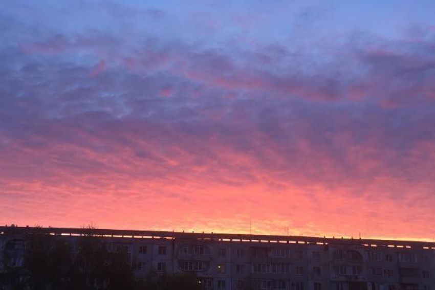 Солнечные и теплые дни продолжают радовать ставропольчан