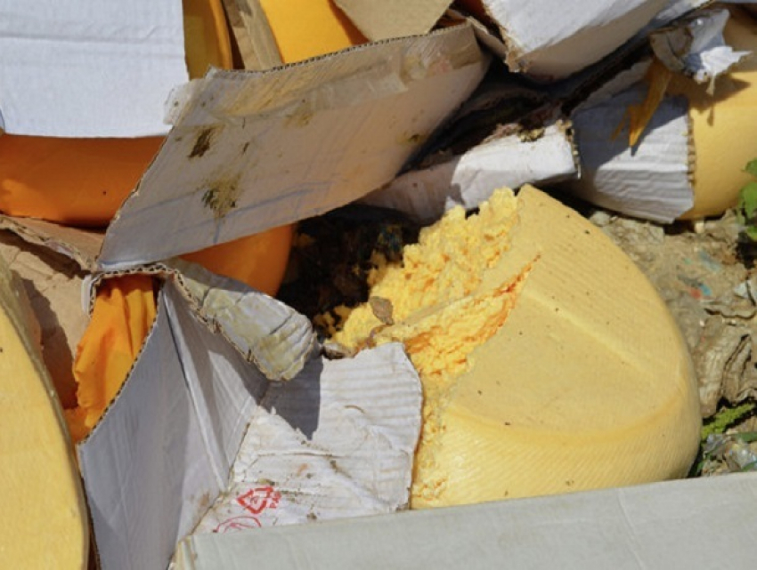 Санкционный сыр нашли во «Флагмане» в Ставрополе и уничтожили 