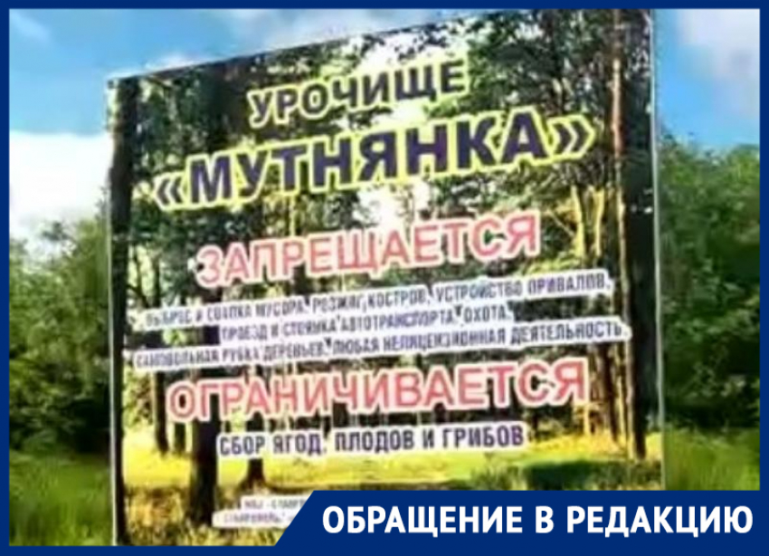 Решили дорубить: в урочище Мутнянка в Ставрополе снова уничтожают деревья