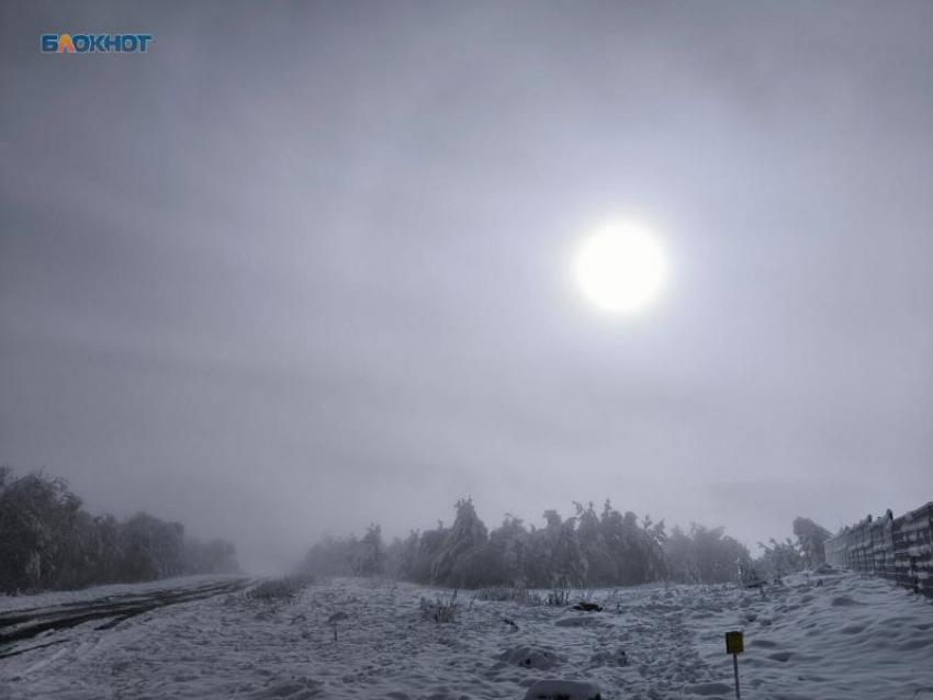 Новогодняя погода придет на Ставрополье в преддверии праздников