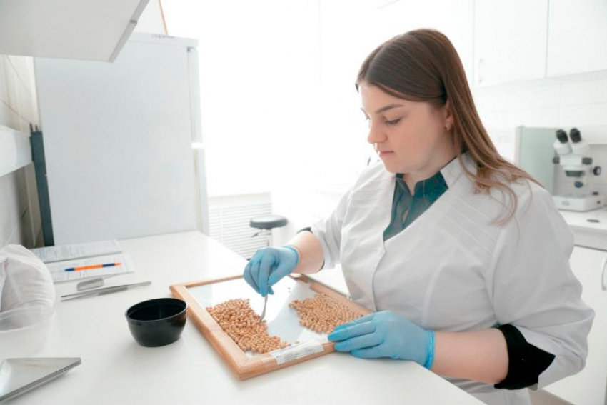 Подготовка к посевной: что важно учесть ставропольским аграриям перед закладкой урожая