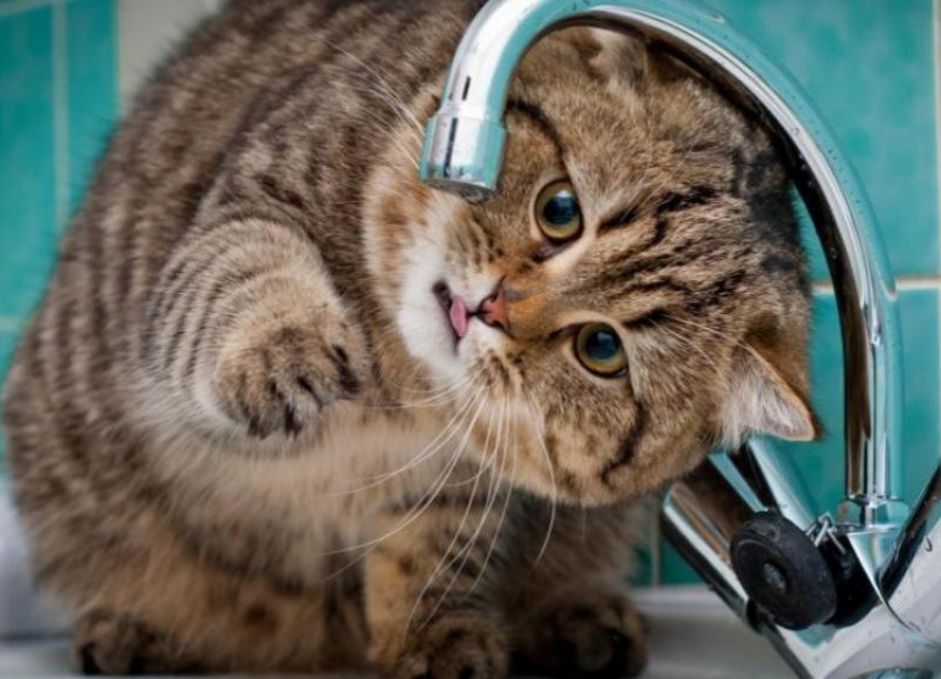 Жители Промышленного района в Ставрополе останутся без воды