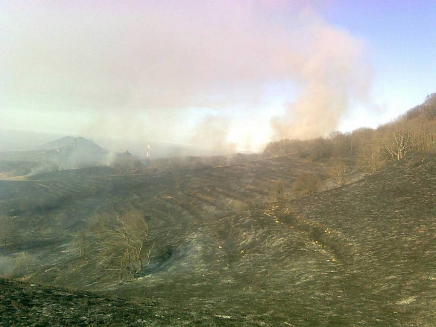 Пожарные Ставрополья дважды спасли от огня пшеничные поля