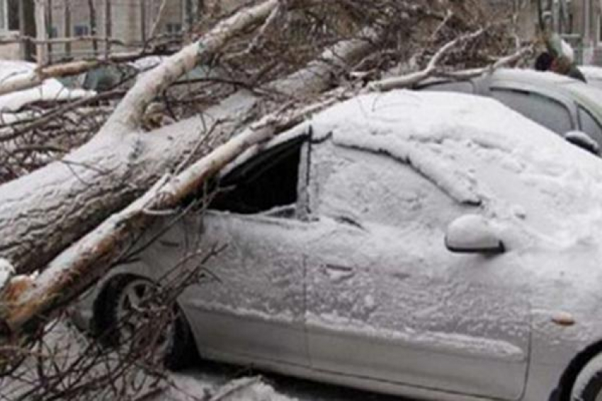 Из-за снегопада в Пятигорске падают деревья