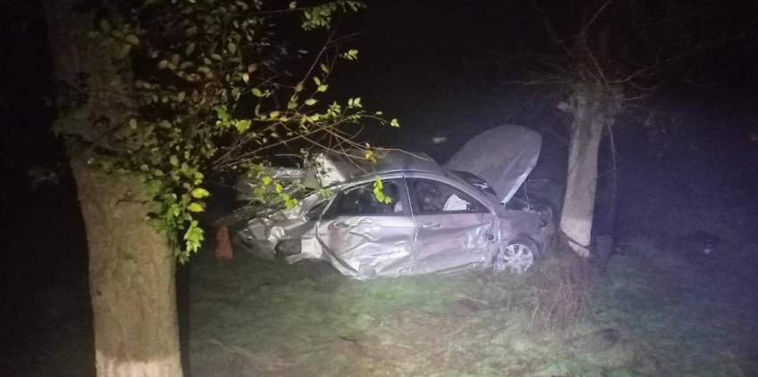 Двое парней погибли при столкновении с деревом на Ставрополье