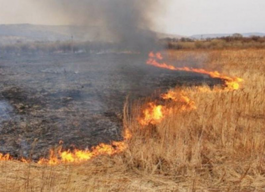 На Ставрополье из-за непотушенного костра загорелось поле