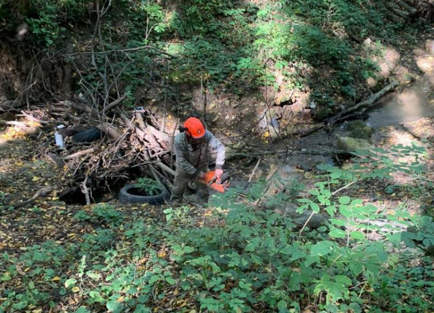 Обнаруженный «Блокнотом» мусор на берегах рек власти Ставрополя пообещали убрать до конца ноября