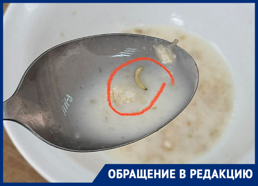 Кашу с гусеницей нашли в лицее в Ставрополе — школа отрицает