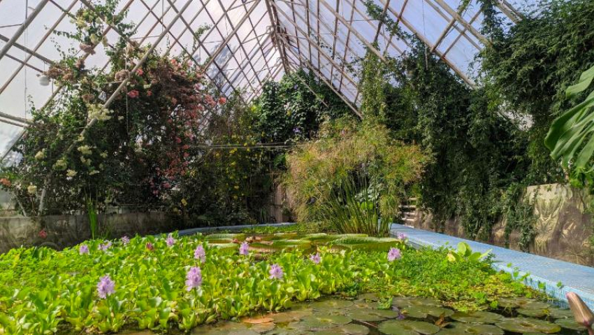 Накрапывающий дождь и 17 градусов тепла пообещали синоптики ставропольцам 29 марта