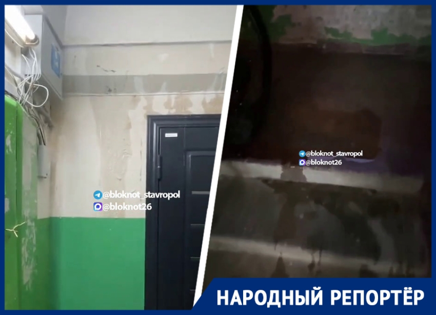 «Снова потекла вода»: ливень подтопил подъезд в многострадальном доме на Космонавтов в Ставрополе