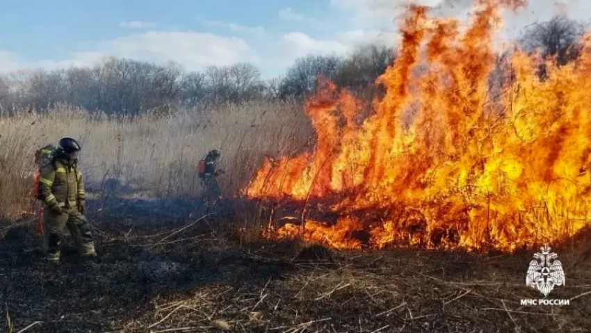 Камыш на площади 5 гектаров горит в Ставрополе: видео