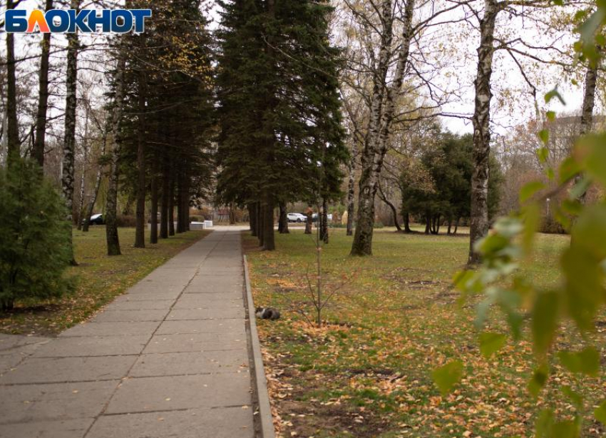 Очередные капризы погоды пообещали 26 ноября в Ставропольском крае 