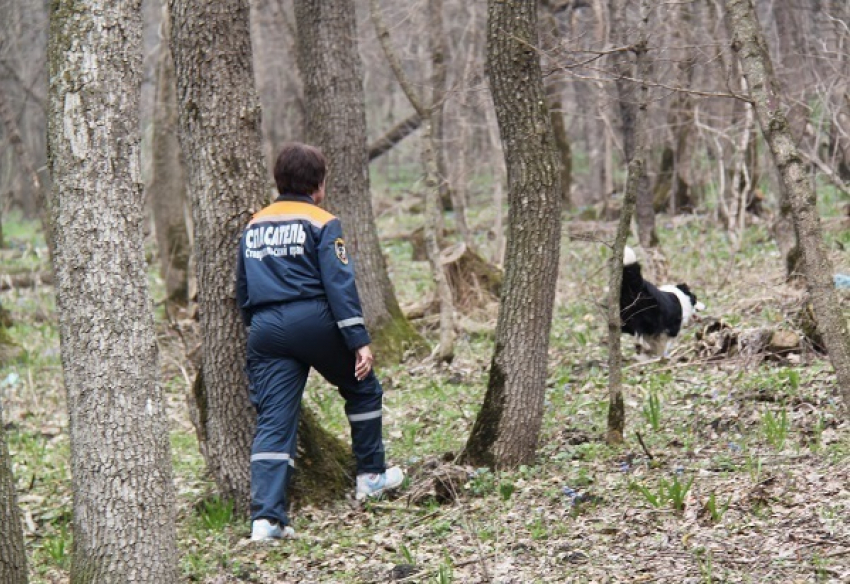 Женщина-грибник заблудилась в Русском лесу Ставрополя