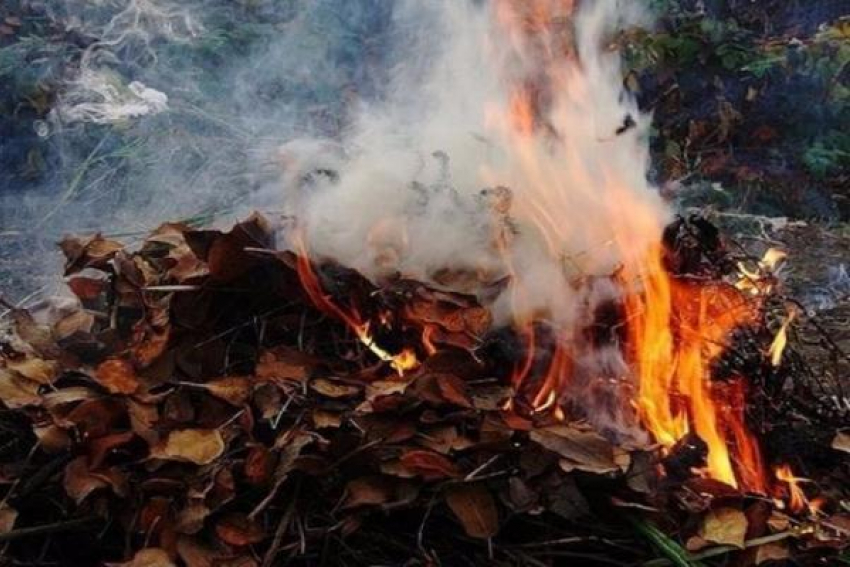 На едкий дым от сгоревших листьев пожаловались ессентучане в соцсетях