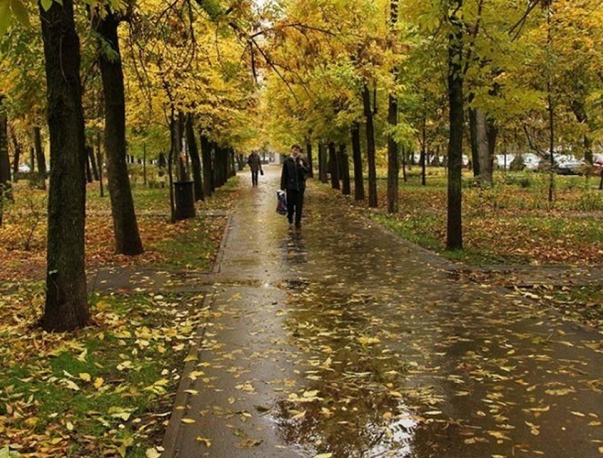 Холодный осенний день ждет ставропольцев 24 октября