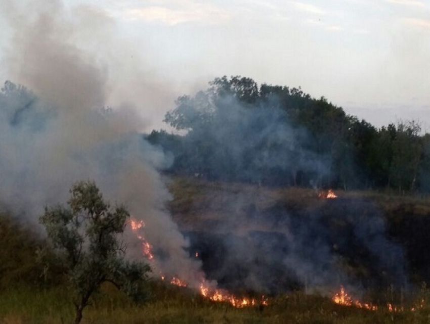 Хулиганы подожгли траву и устроили пожар рядом с кладбищем в Ставрополе