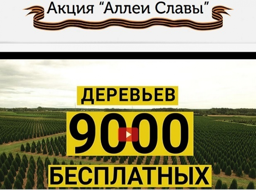 9000 деревьев посадят в Ставрополе, если ставропольцы проголосуют в интернете