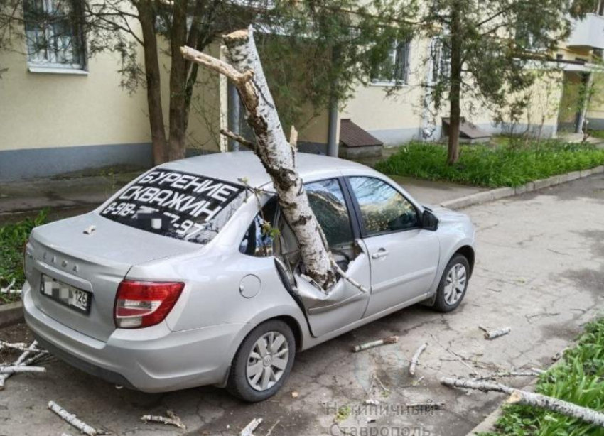 Снес остановку, сломал дерево: какие еще сюрпризы принес на Ставрополье штормовой ветер