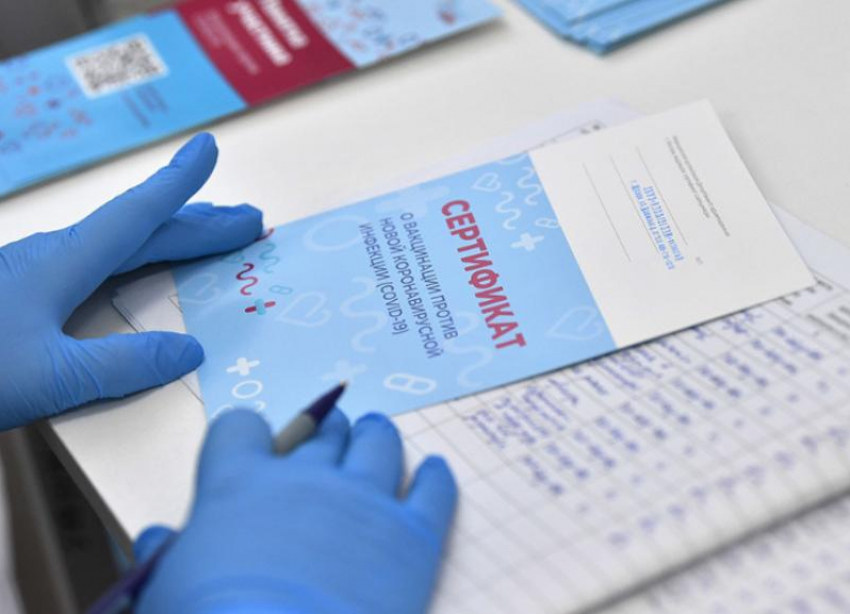 За фальшивые сертификаты о вакцинации ставропольцы могут поплатиться двумя годами свободы