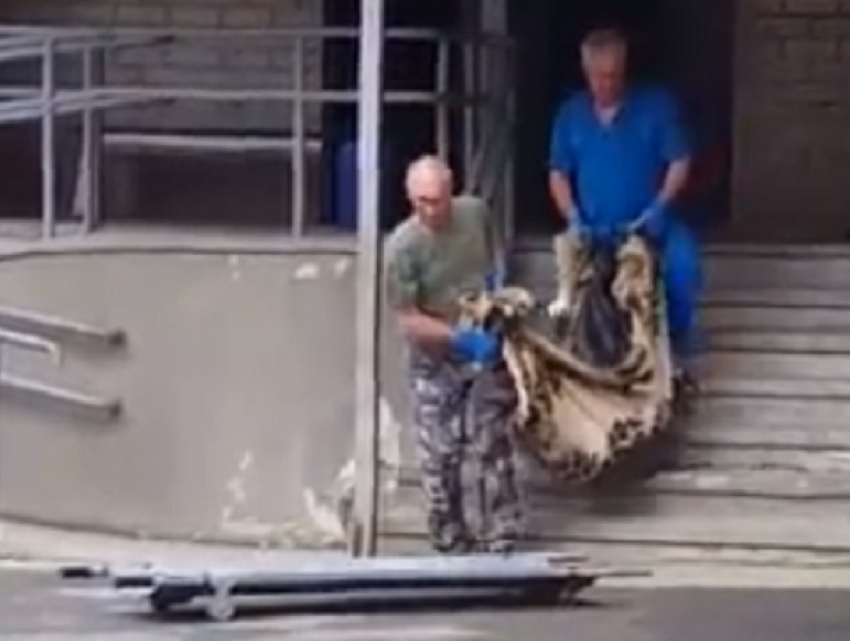 Они с женой всегда ходили под ручку, семья была идеальной, - соседи о погибшем при взрыве в Ставрополе 