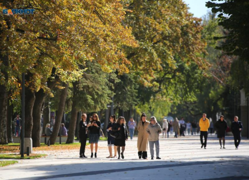 Небольшой дождь и тепло днем ждут жителей Ставрополья 8 октября 