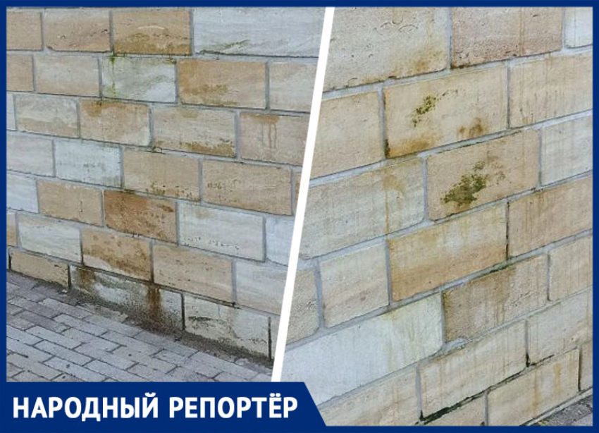 «Мокнет и покрывается мхом»: жители Ставрополя опасаются за состояние подпорной стены после скандальной реконструкции