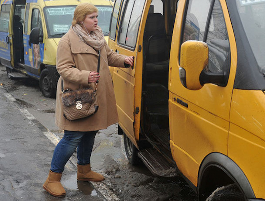 Вежливый водитель маршрутки не берет деньги за проезд у беременных в Ставрополе