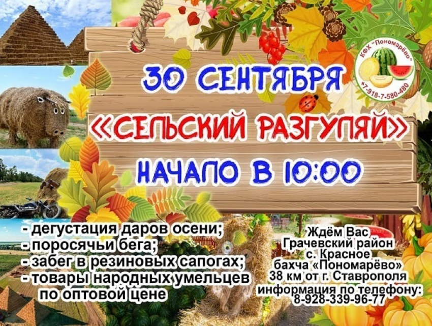 Поросячьи бега, поедание арбузов наперегонки и многое другое ждет гостей бахчи Пономаревых в последний день сентября