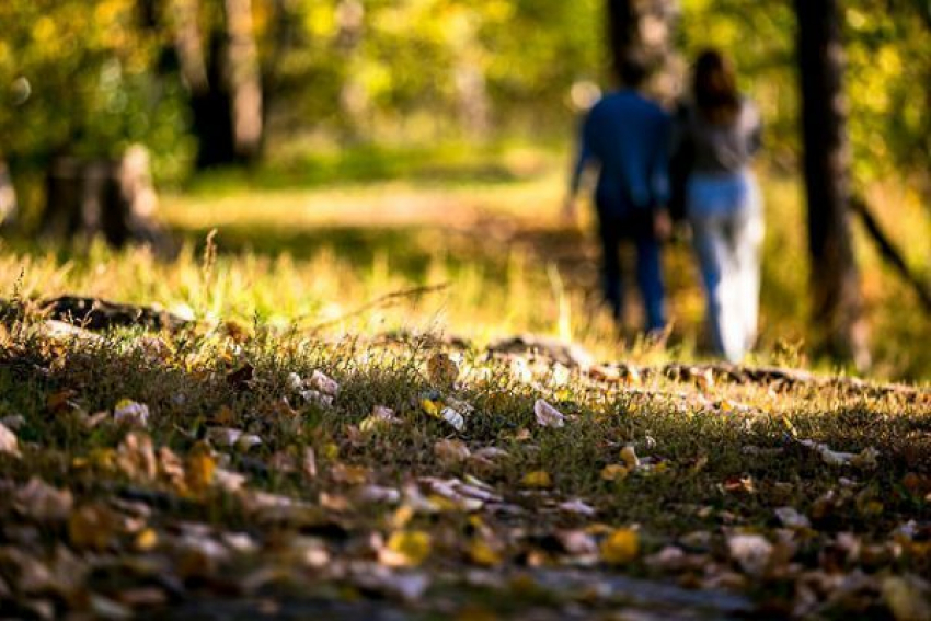 Синоптики обещают возвращение «бабьего лета» на Ставрополье