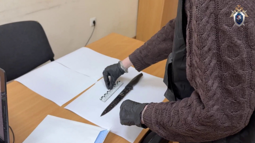 Застолье с 15-летним закончилось убийством подруги матери на Ставрополье