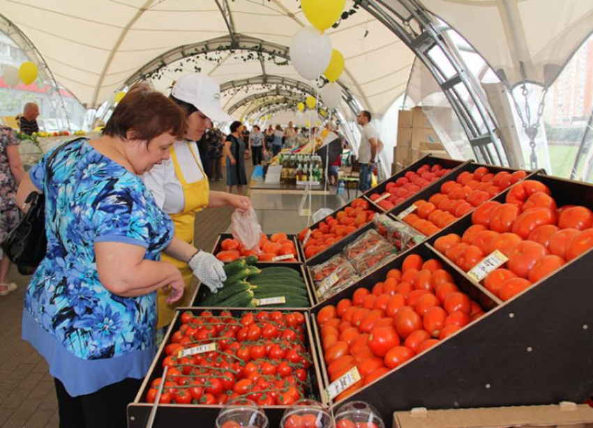 АПХ «Эко-культура» переложило ответственность за клич о рабстве в помидорах со Ставрополья на Подмосковье