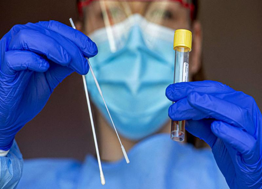 На Ставрополье выявили 196 новых случаев заражения коронавирусом