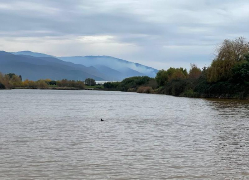 Теперь 15: Роспотребнадзор обновил список разрешенных для купания водоемов на Ставрополье 