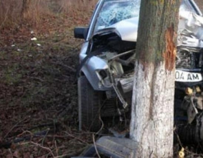 В Ставрополе «Калина» врезалась в дерево