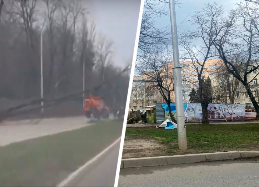 Поваленные деревья и дорожный коллапс: что принес ураганный ветер в Ставрополь