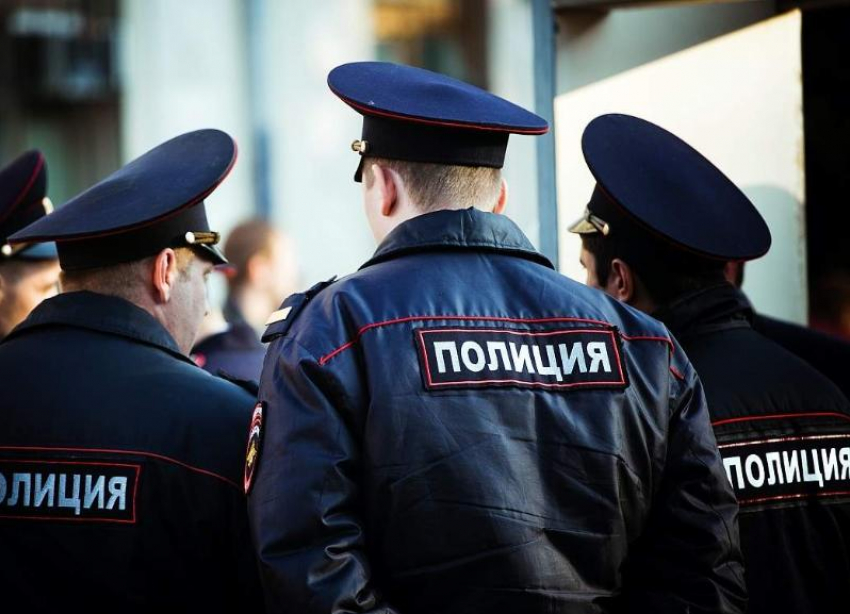 Полиция Ставрополя ищет издевающегося над котами юного живодера 