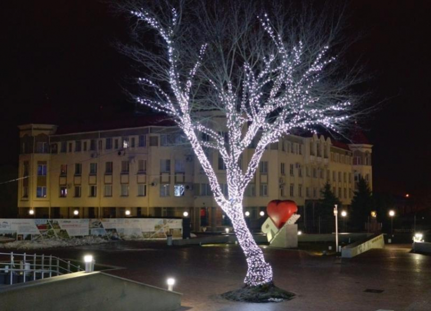 Центр Ставрополя усадят светодиодными деревьями за 64 миллиона рублей