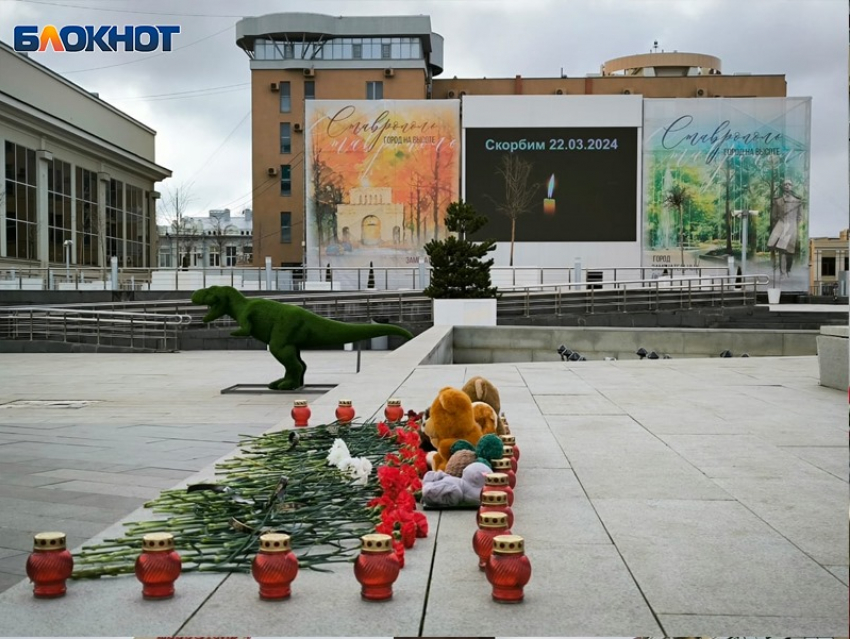 Игрушки и цветы у мемориалов, очередь доноров: как Ставрополье отреагировало на теракт в Подмосковье