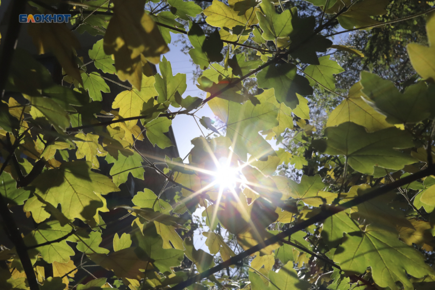 Пора убирать зимние куртки: синоптики пообещали потепление до +13 градусов на Ставрополье 14 февраля