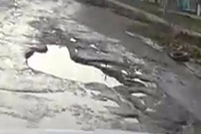 Разбитую дорогу с ямами несколько лет игнорируют чиновники на Ставрополье